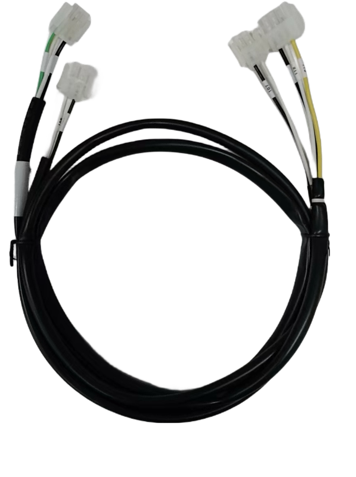 Tùy chỉnh dây nịt6