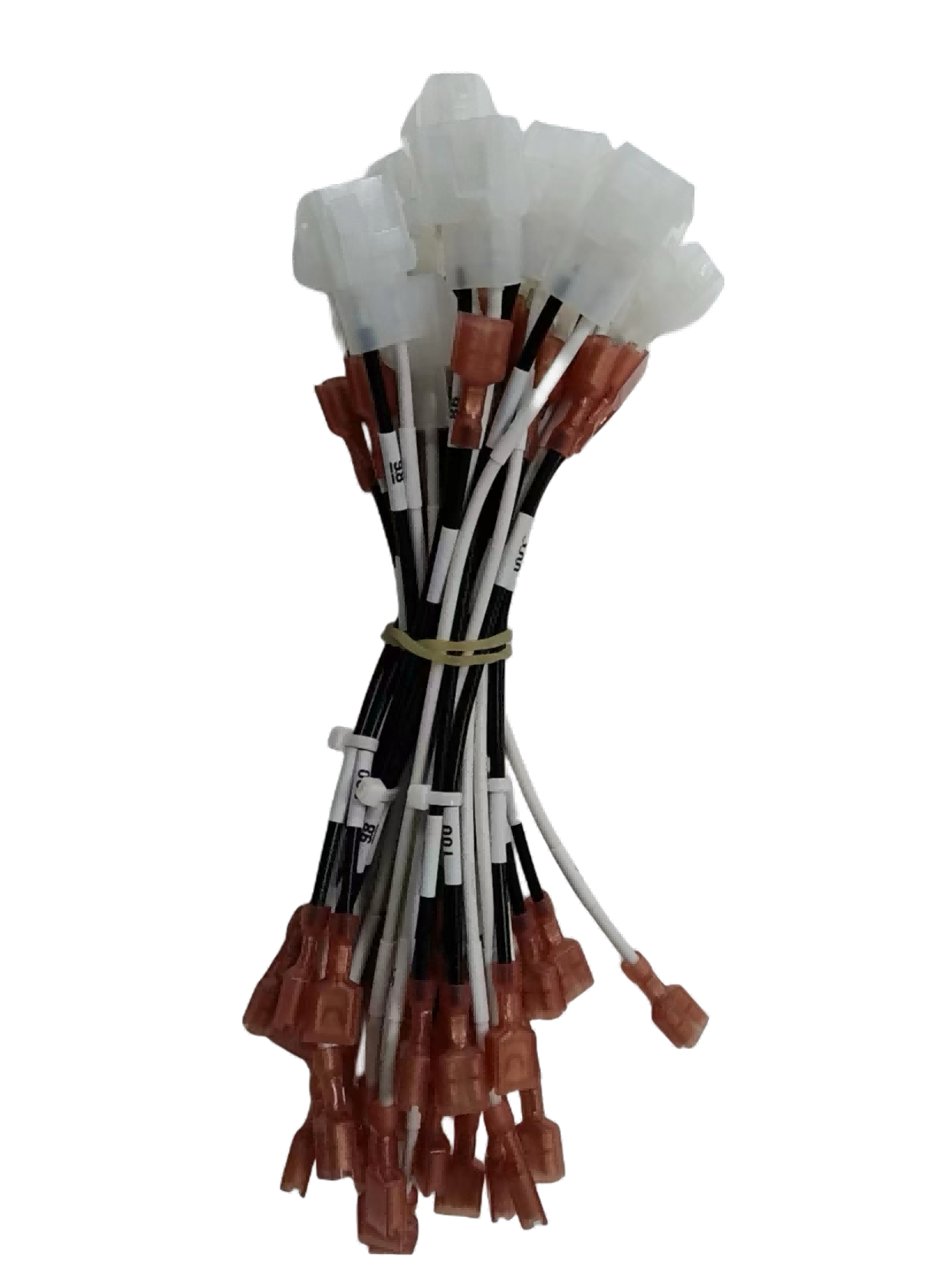 Tùy chỉnh dây nịt7