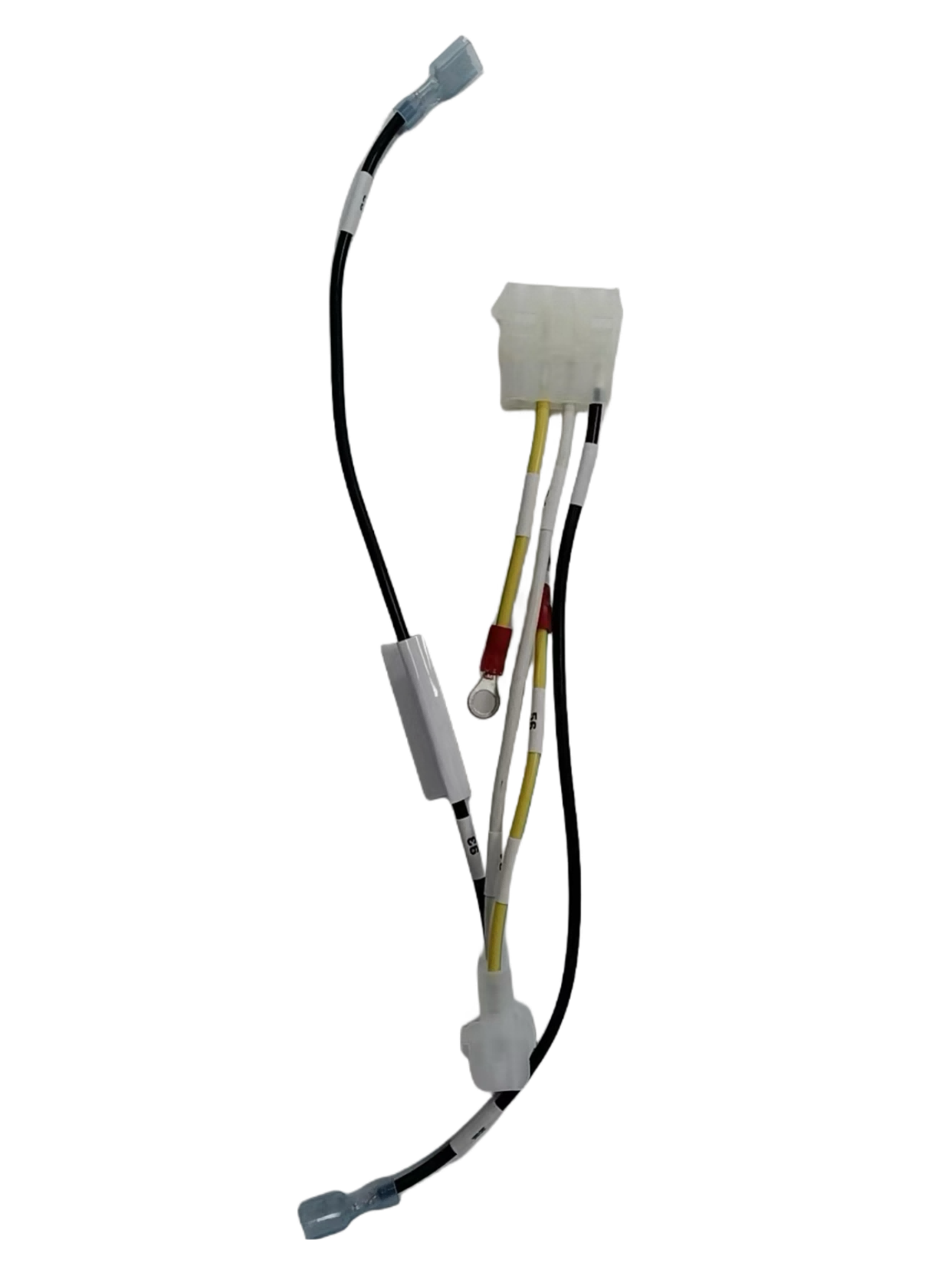 Tùy chỉnh dây nịt10